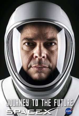 NASA & SpaceX: Journey to the Future (2020) Hindi Dual Audio Web-Rip 300MB